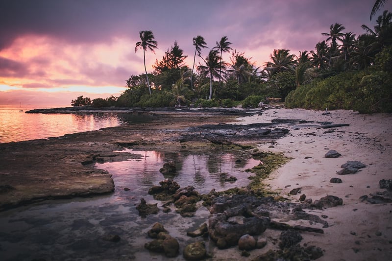 Tropical Paradise